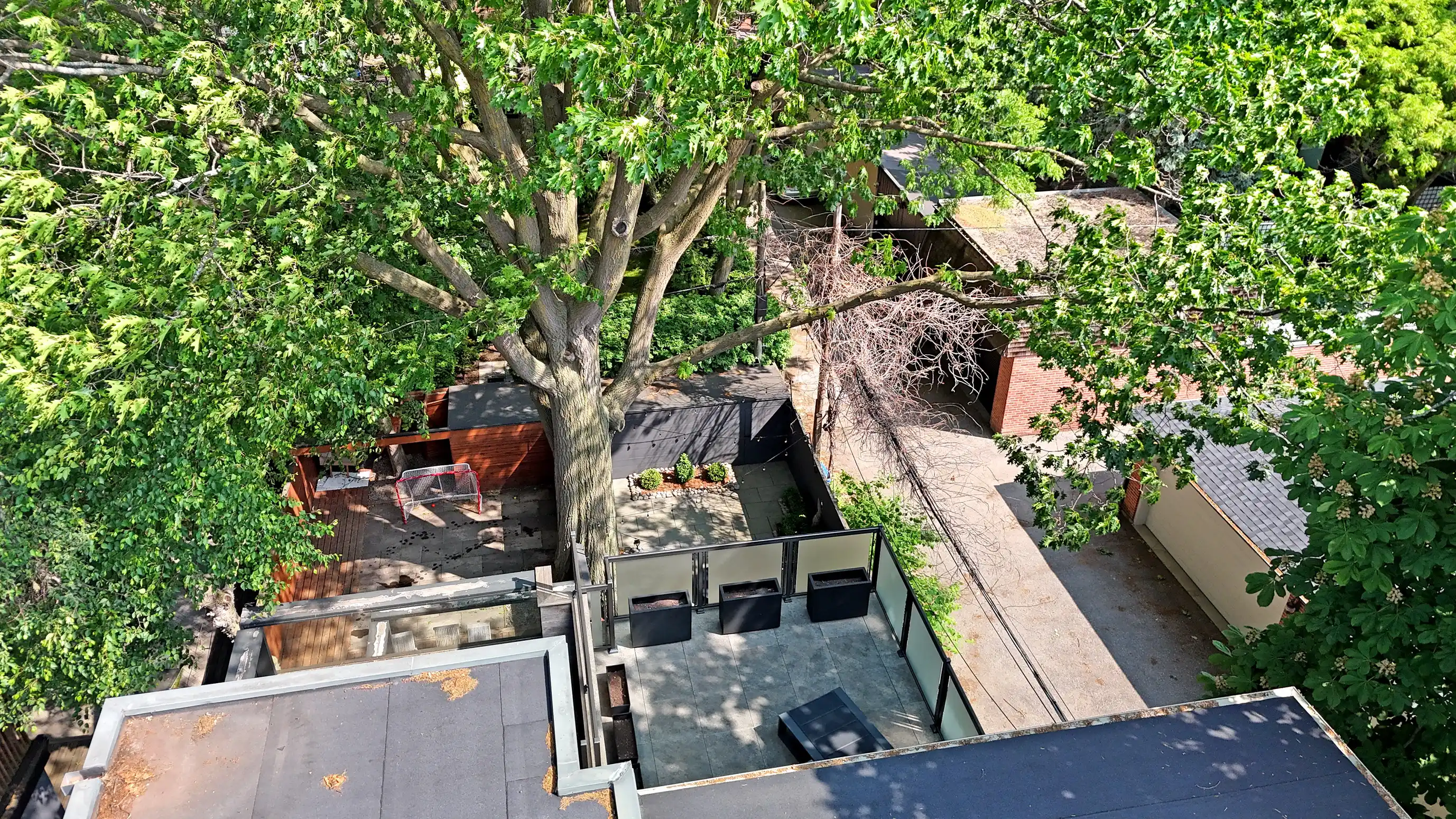 10 Webster Ave – image 52