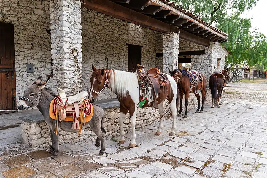 Rancho Las Sabinas – image 24