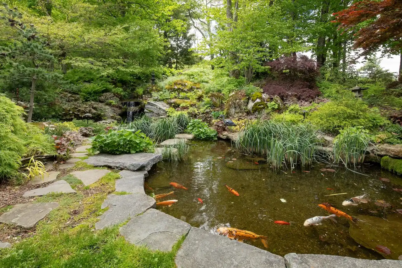 Spectacular Alford Mountain Estate: Guest House & Resort Amenities on – image 45