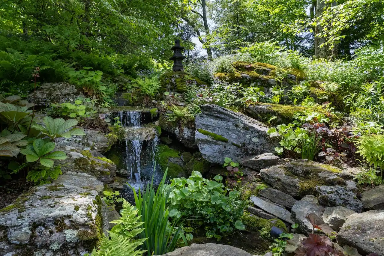 Spectacular Alford Mountain Estate: Guest House & Resort Amenities on – image 46