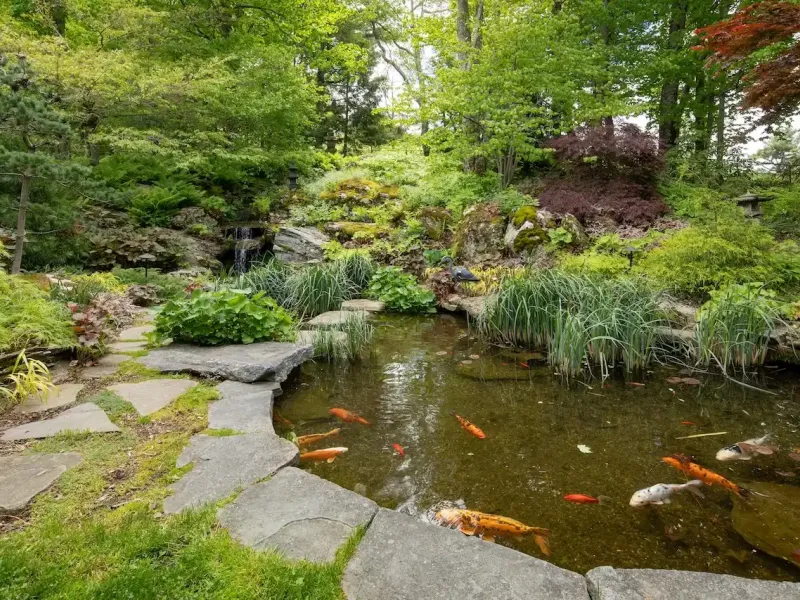 Spectacular Alford Mountain Estate: Guest House & Resort Amenities on – image 45