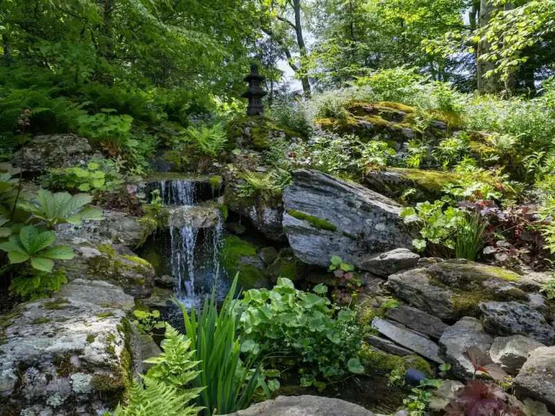 Spectacular Alford Mountain Estate: Guest House & Resort Amenities on – image 46
