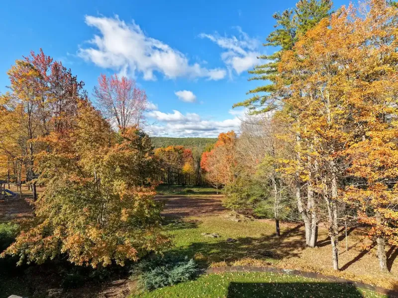 https://harneyrealestate.com/listings/east-road-alford-ma-berkshire-24 – image 21