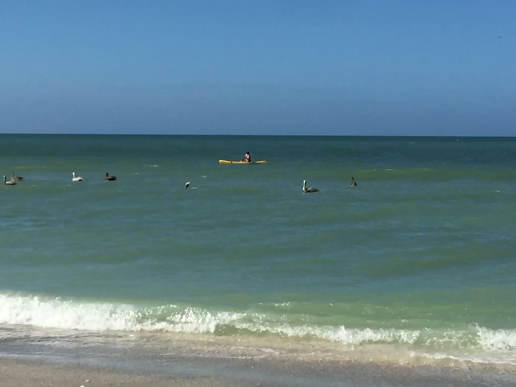BOATING PARADISE "CONTINGENT" – image 46