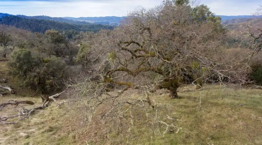 9140 Boonville Rd,Ukiah,California 95482,United States,Ranch,Boonville,185068