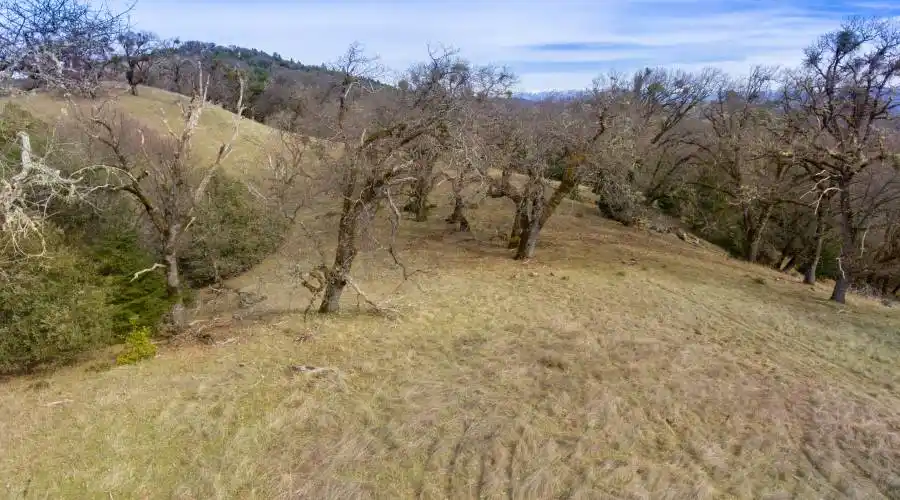 9140 Boonville Rd,Ukiah,California 95482,United States,Ranch,Boonville,185068