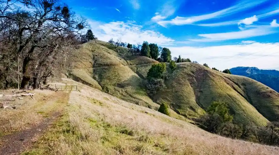 9140 Boonville Rd,Ukiah,California 95482,United States,Ranch,Boonville,185068