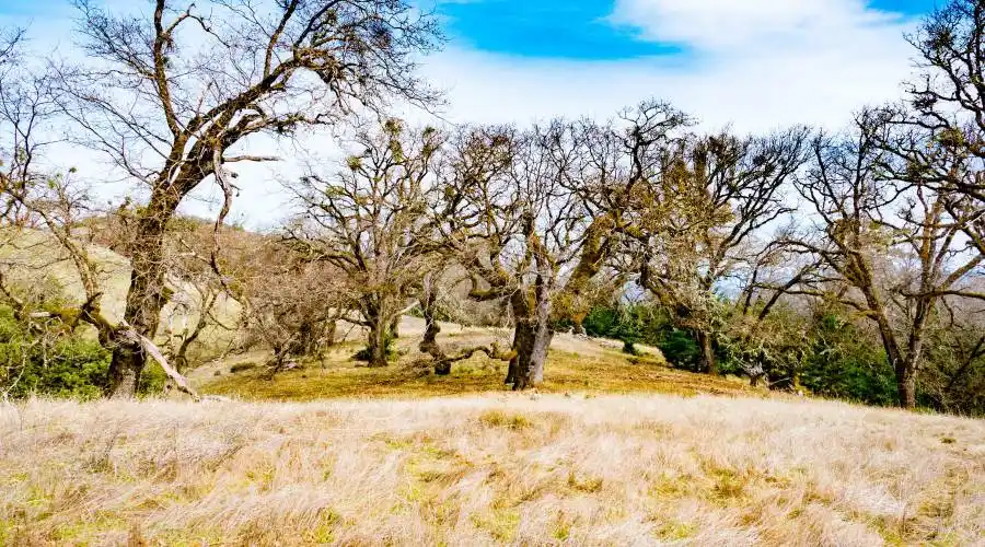 9140 Boonville Rd,Ukiah,California 95482,United States,Ranch,Boonville,185068