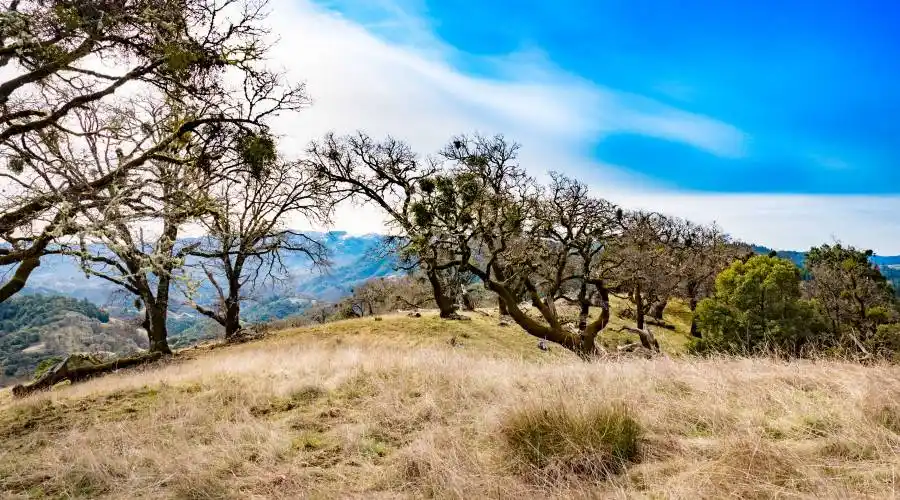 9140 Boonville Rd,Ukiah,California 95482,United States,Ranch,Boonville,185068