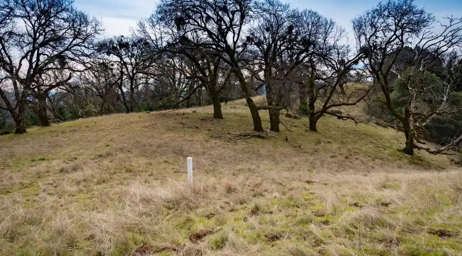 9140 Boonville Rd,Ukiah,California 95482,United States,Ranch,Boonville,185068