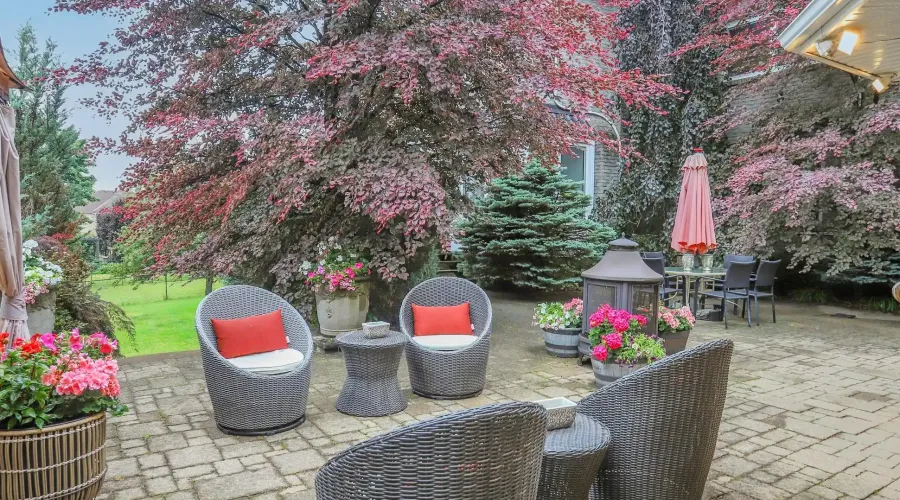 788 Woodland Acres Cres, Vaughan, Ontario, Canada, 4 Bedrooms Bedrooms, 14 Rooms Rooms,5 BathroomsBathrooms,Residential,Residential,Woodland Acres,1902959