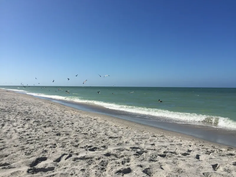 SANIBEL’S LIGHTHOUSE POINT – image 33