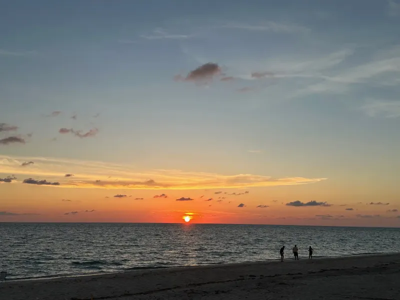 TROPICAL RETREAT – image 34