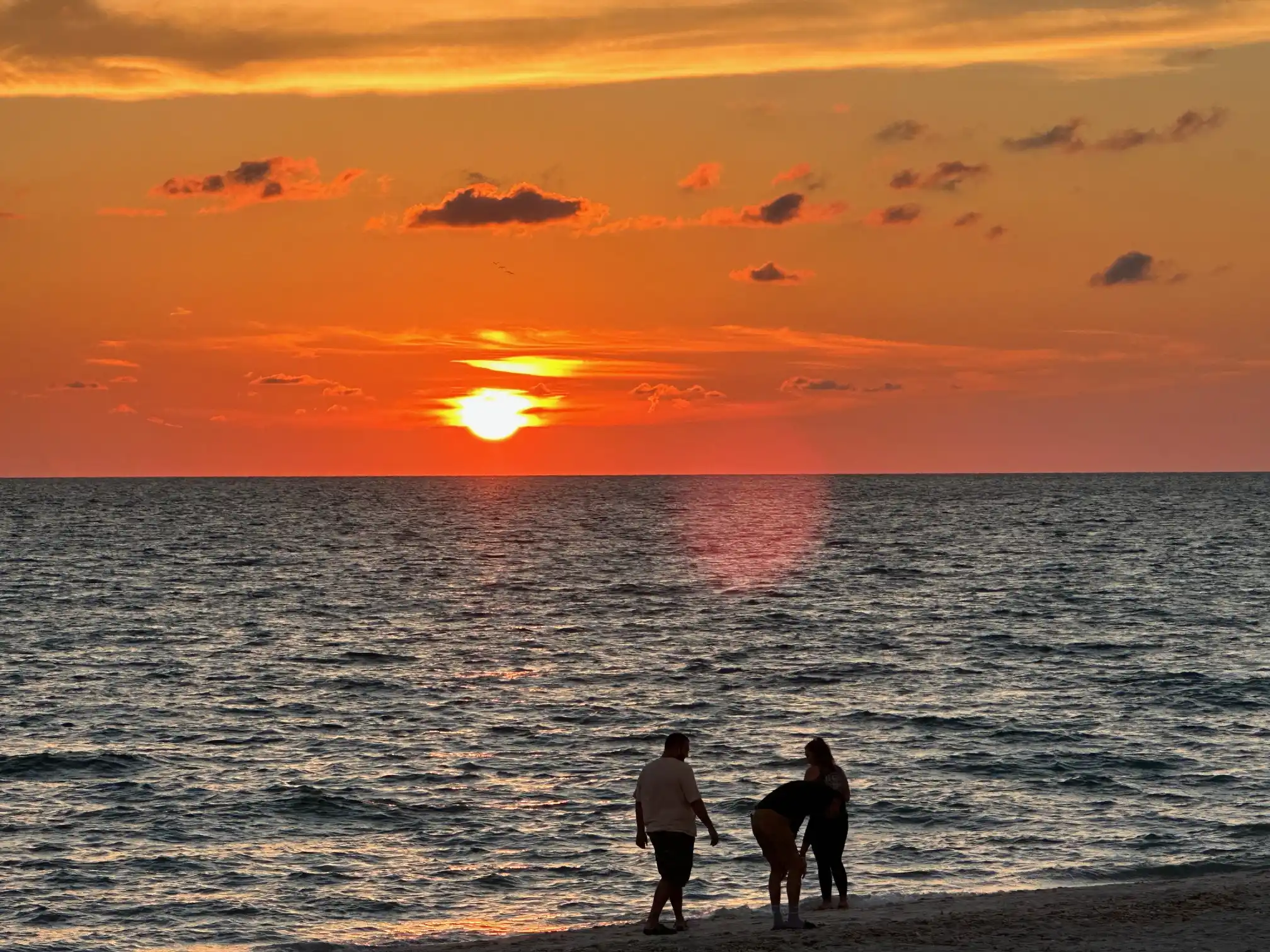 BEACHVIEW ESTATES – image 36