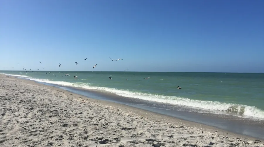 785 Birdie View Point, Sanibel, Florida, 33957, United States, 3 Bedrooms Bedrooms, 15 Rooms Rooms,2 BathroomsBathrooms,Residential,For Sale,Birdie View ,2001383
