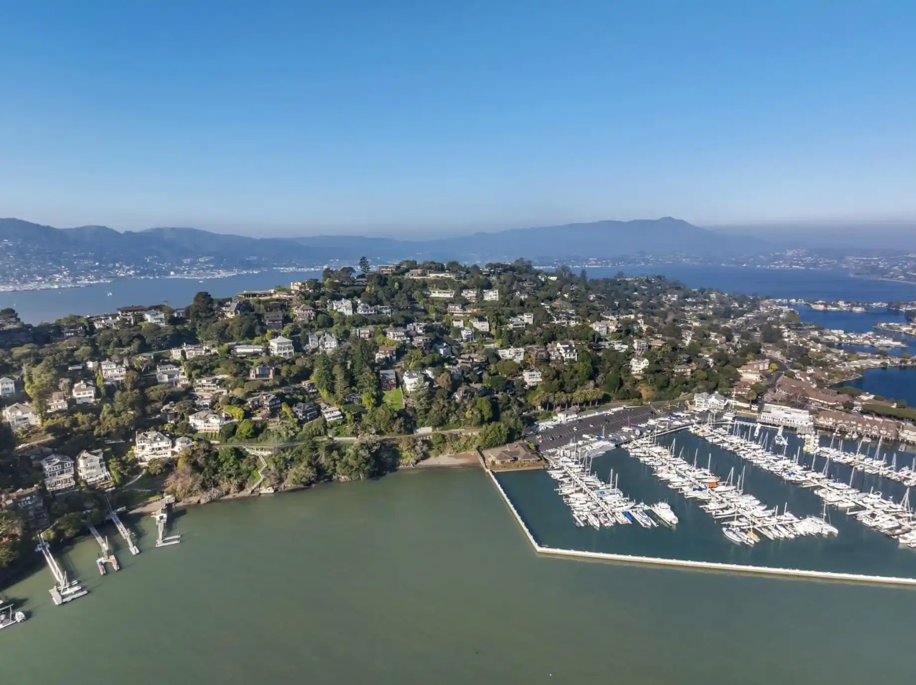 Picturesque Bay Views on Belvedere Island – image 12