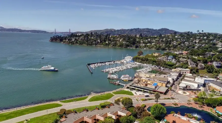 45 Mount Tiburon Road, Tiburon, California, United States, 4 Bedrooms Bedrooms, ,4 BathroomsBathrooms,Residential,For Sale,45 Mount Tiburon Road,2032111