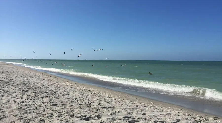 745 Cardium Street, Sanibel, Florida, 33957, United States, 2 Bedrooms Bedrooms, 10 Rooms Rooms,2 BathroomsBathrooms,Villa,For Sale,Cardium,20261037605
