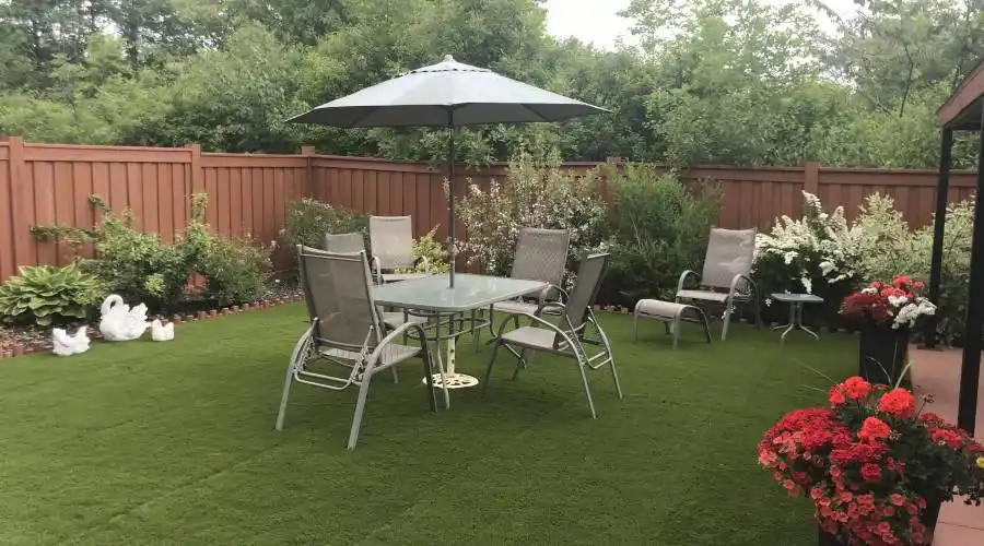 Beautiful Backyard Area