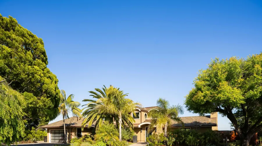 9 Burrell Court, Tiburon, California, United States, 5 Bedrooms Bedrooms, ,6 BathroomsBathrooms,Residential,For Sale,9 Burrell Court,70030019989