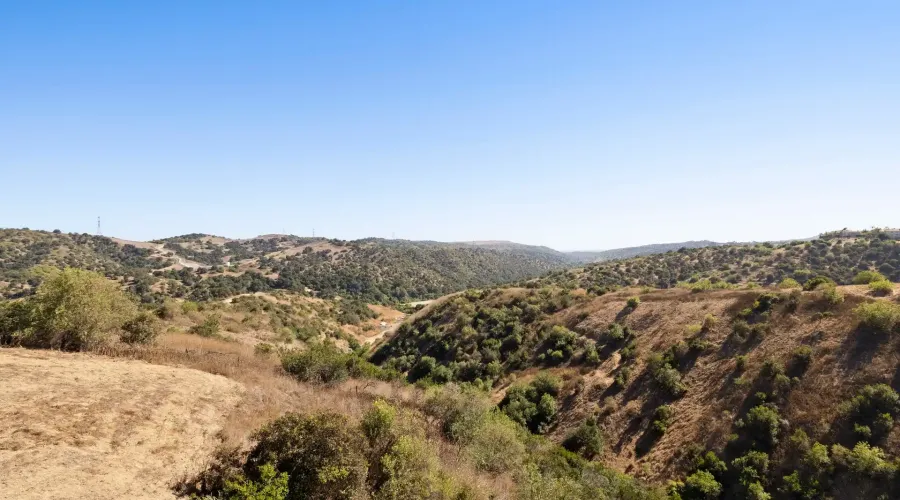 2695 Shady Ridge Lane, Diamond Bar, California, 91765, United States, 6 Bedrooms Bedrooms, ,9 BathroomsBathrooms,Residential,For Sale,Shady Ridge Lane,70030019995