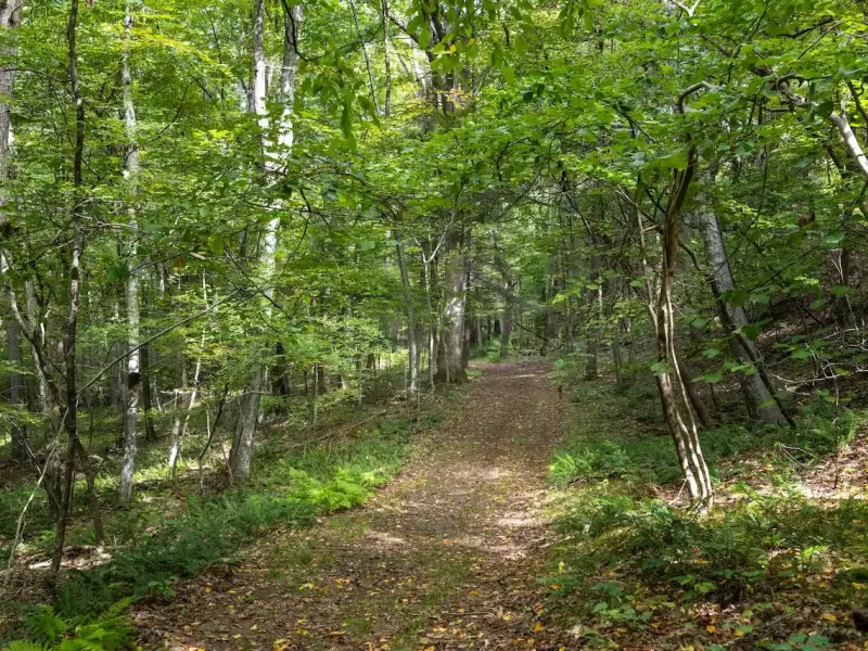 https://harneyrealestate.com/property/55-57-brinton-hill-road-salisbur – image 19