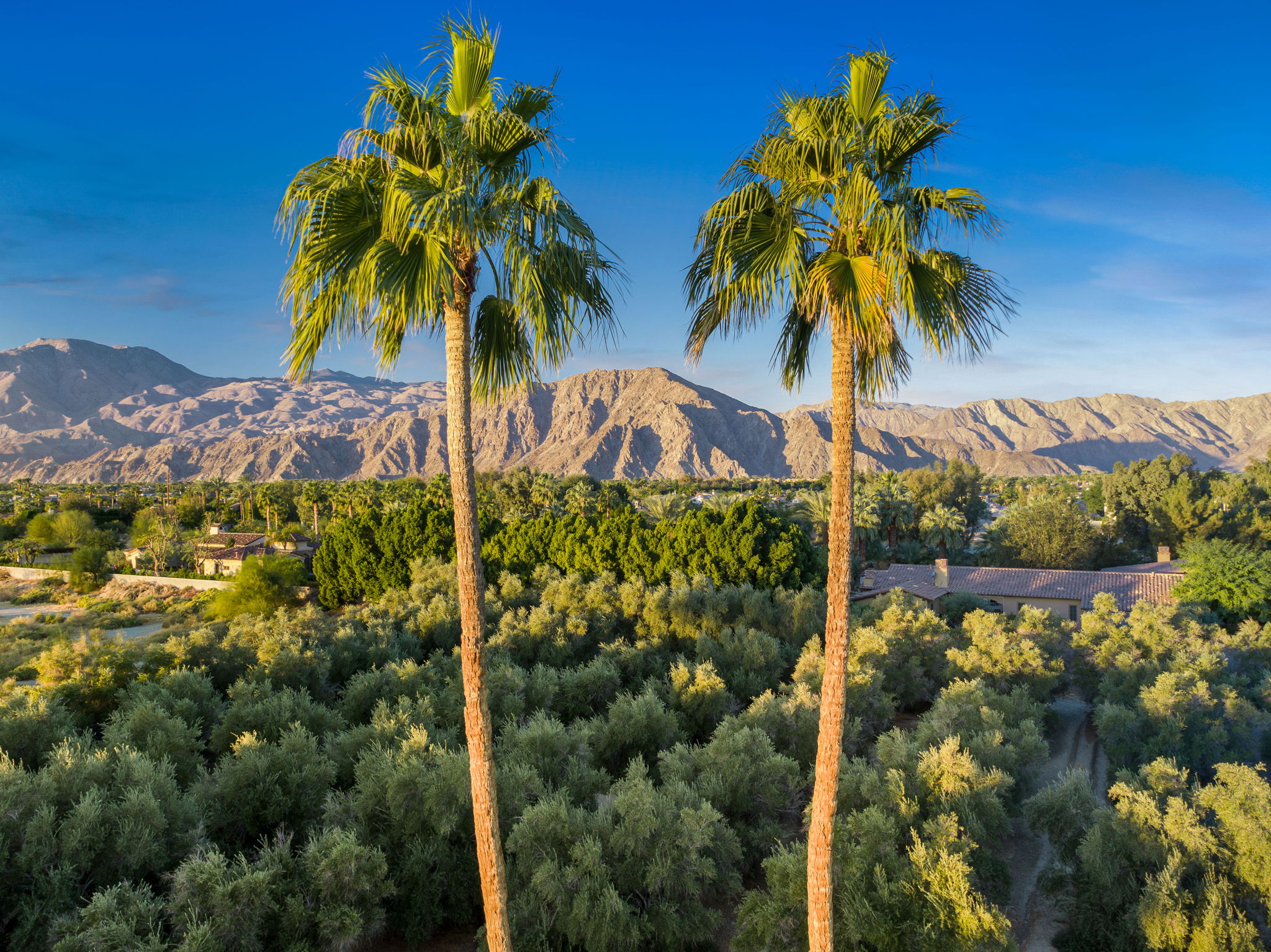 51555 Madison St, La Quinta, CA 92253 – image 19